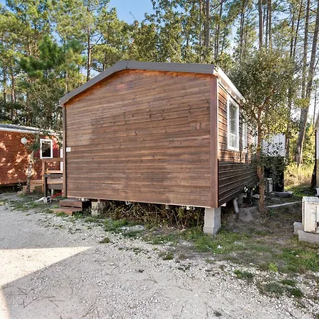 T3 I V- 15 Min From Nazare Chalé *