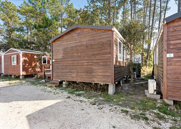 T3 I V- 15 Min From Nazare Alpehytte *